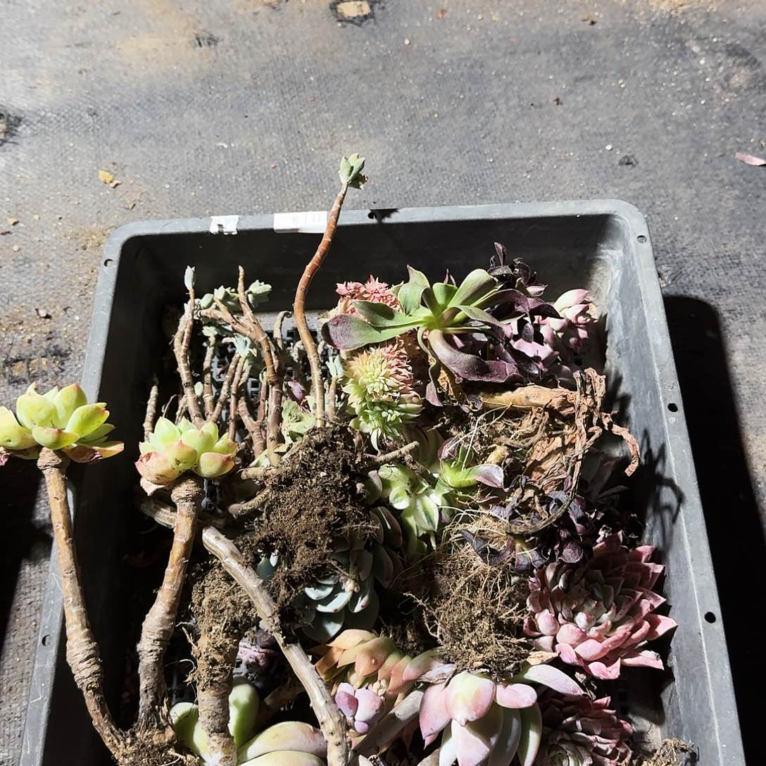 满20包邮零下拍保温箱111号无售后