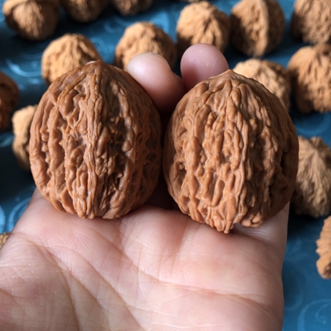 【闪购商品】文玩核桃把件35尺寸麦穗虎头