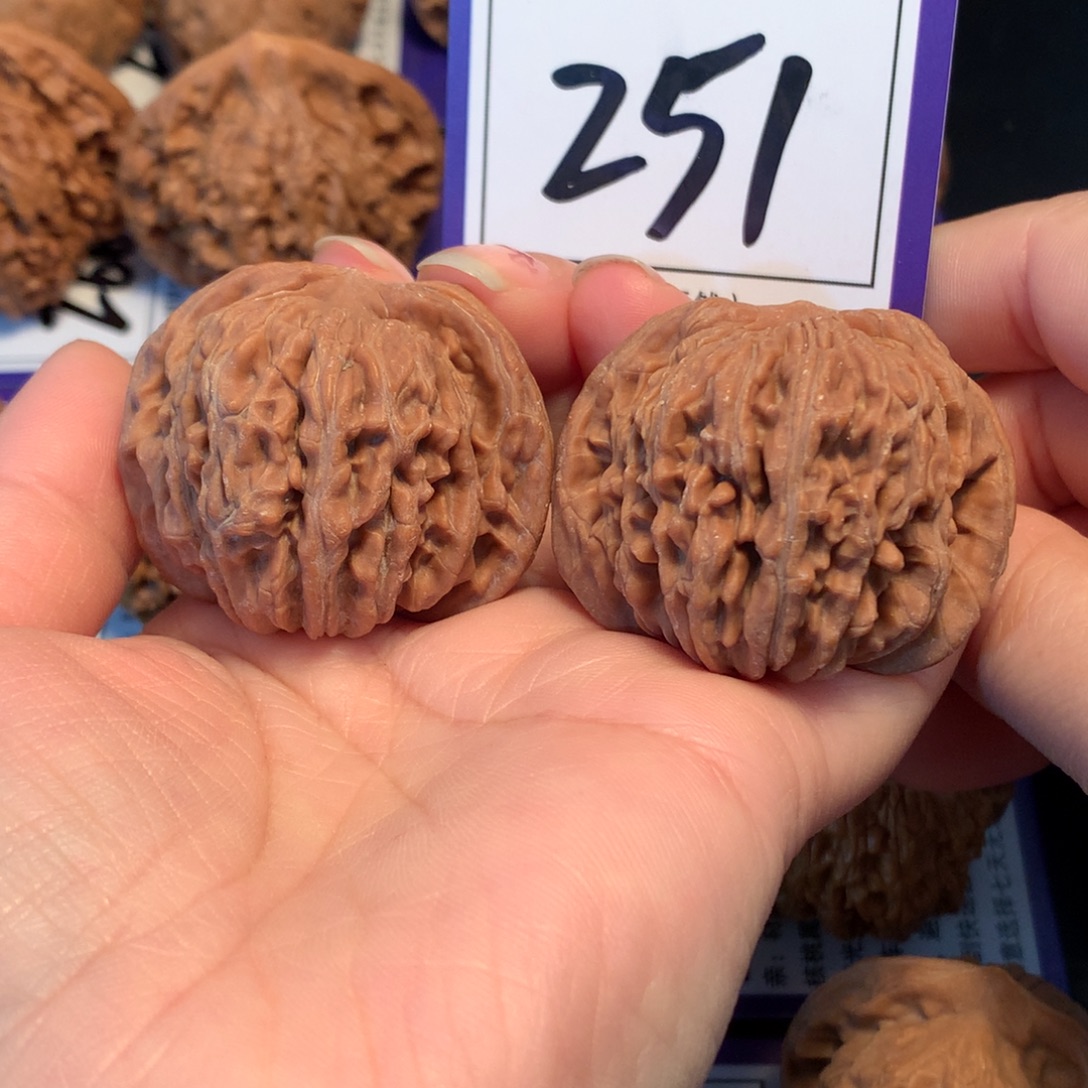 把件文玩核桃251楼子4.3