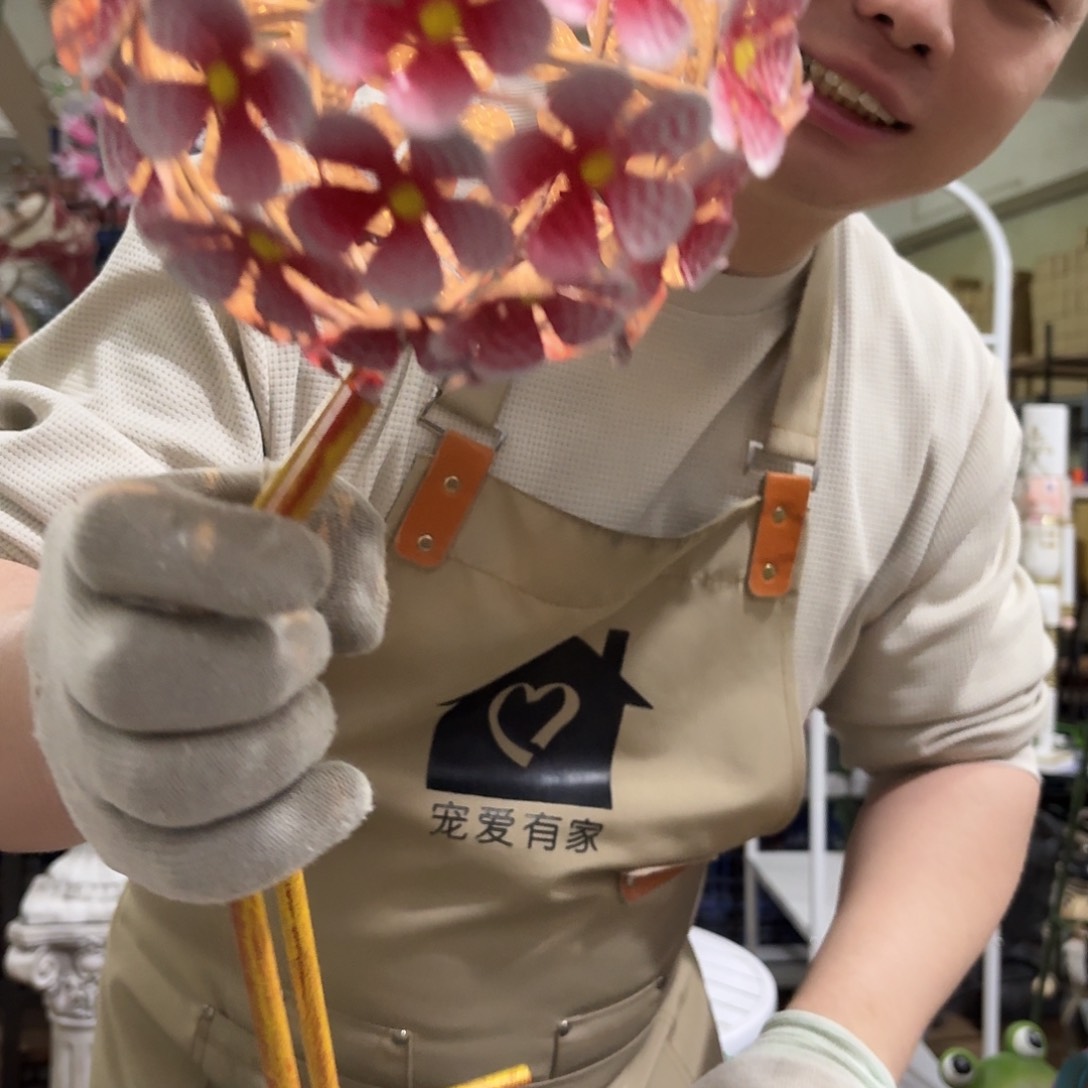 核桃木/黑胡桃（胡桃木）