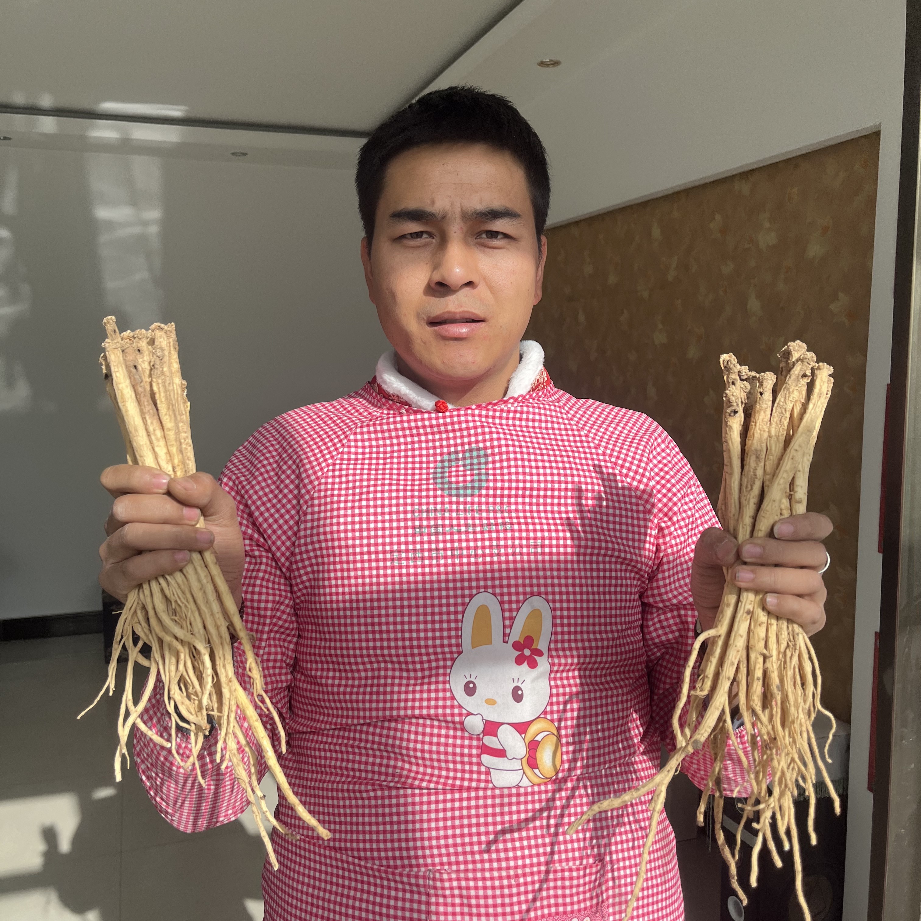 岷县原产地党参原条自然晾晒无硫无添加煲汤炖肉泡茶（大条）