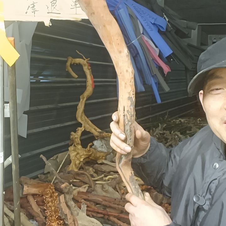 稳定木安*贵州檬子木   铁马鞭   根艺  半成品