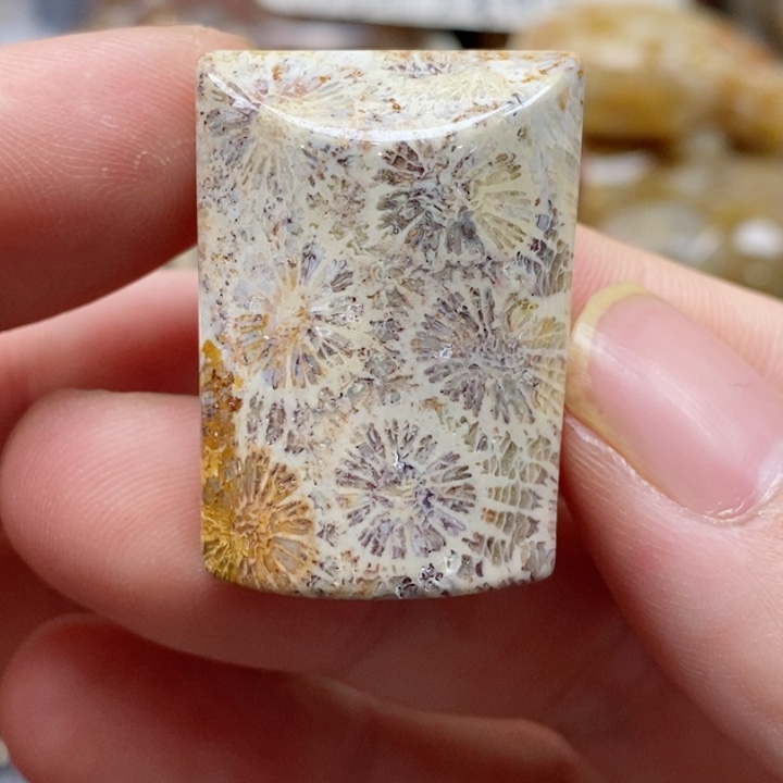 硅化珊瑚（珊瑚玉）颈饰未镶嵌小吊坠