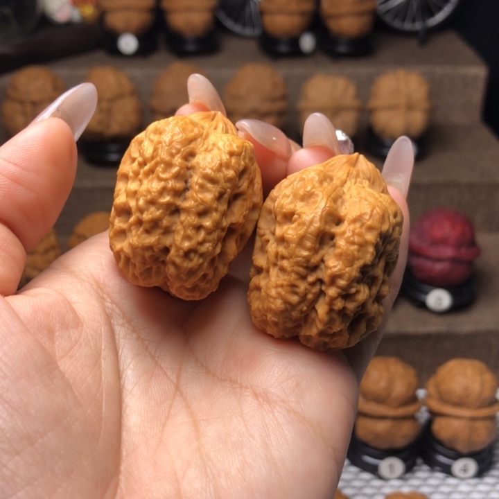 橄榄核吊坠46霸王龙脊