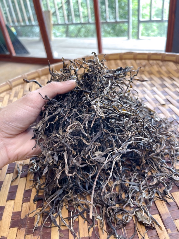 2020年曼滚下寨古树茶普洱茶生茶散茶