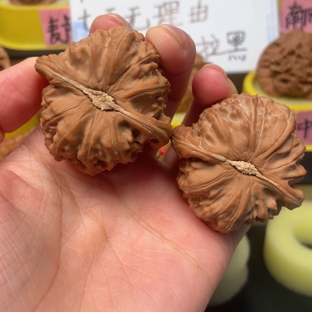 风***轻核桃手串/手链白狮子