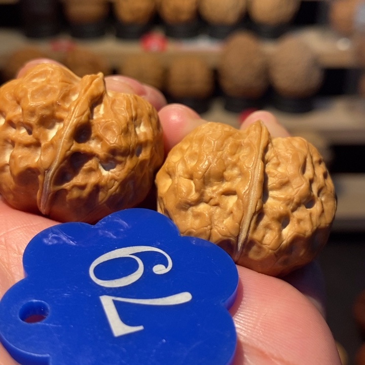 木质类元宝金蟾32尺寸，宠粉福利