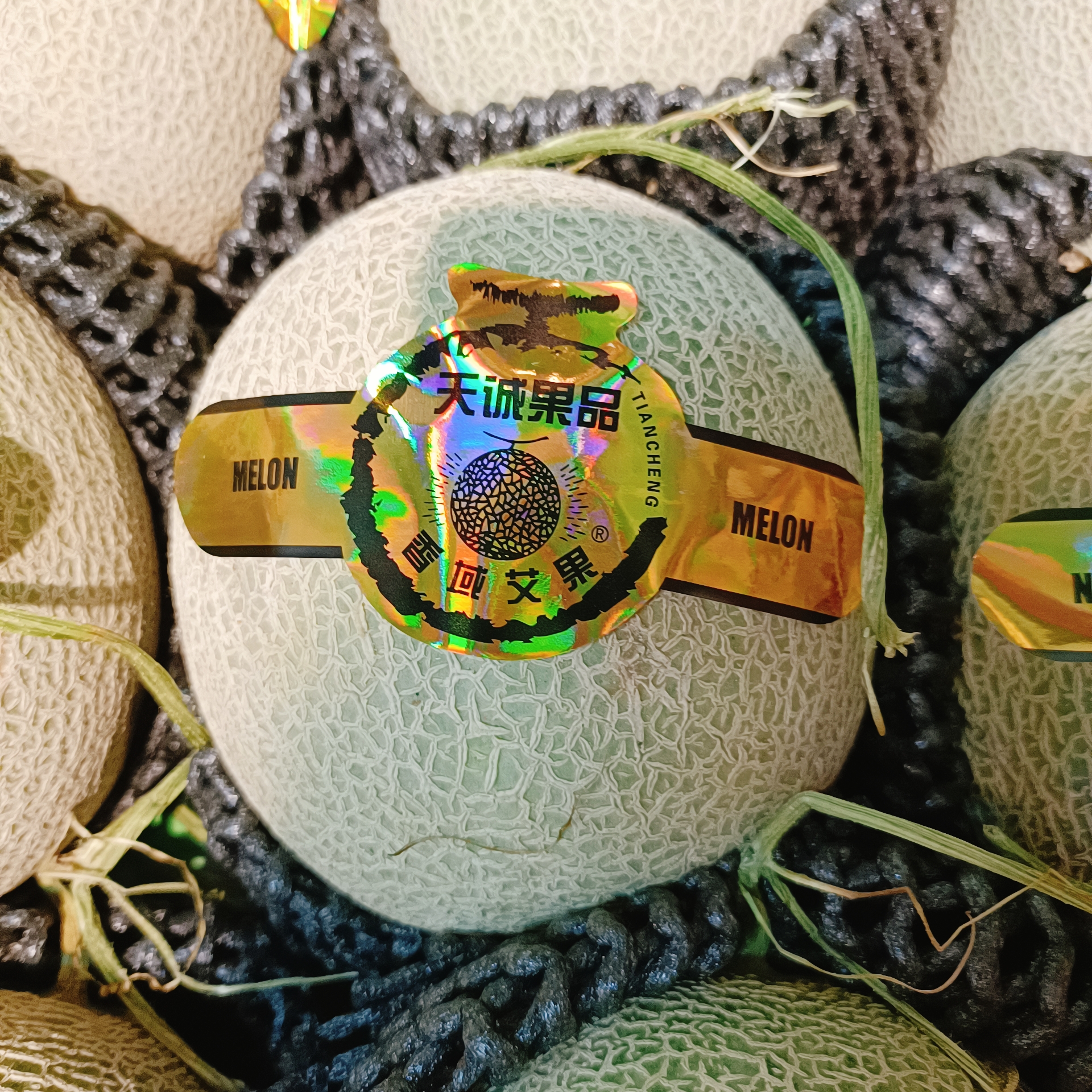 冰淇淋网纹瓜一个