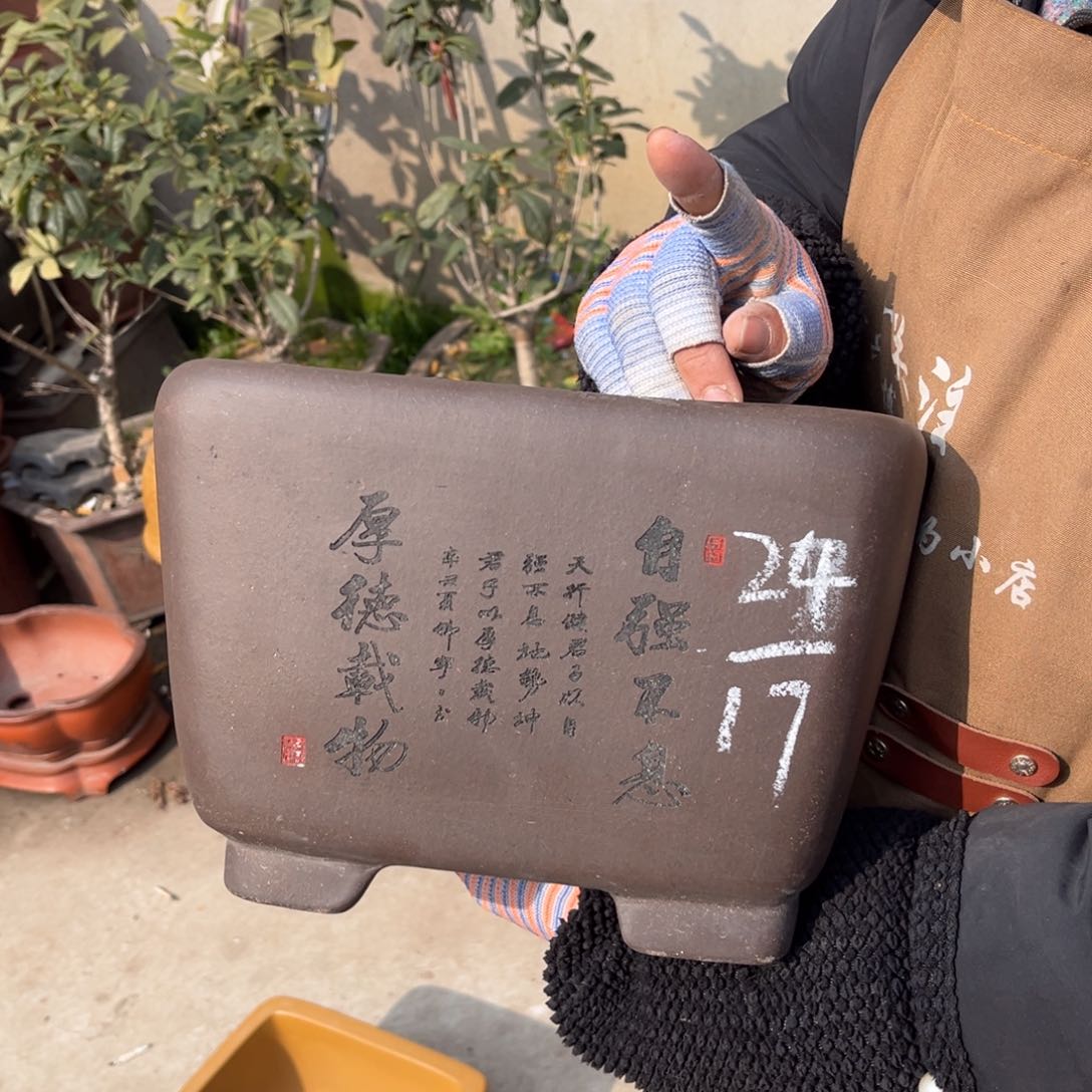 紫砂花盆盆景艺术