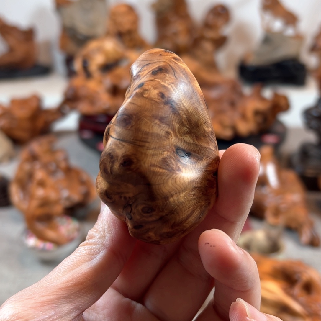 柏木（崖柏）85257869633