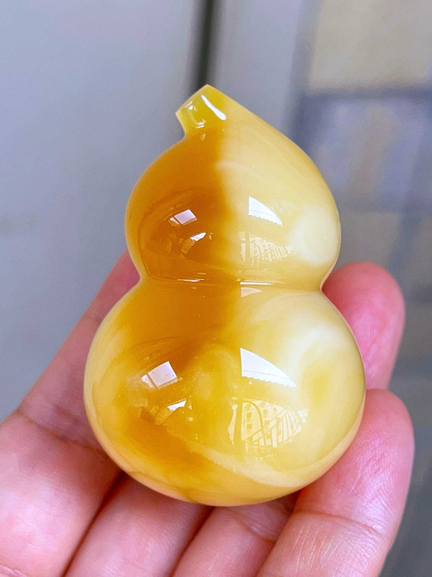 俄料溶洞白花蜡葫芦