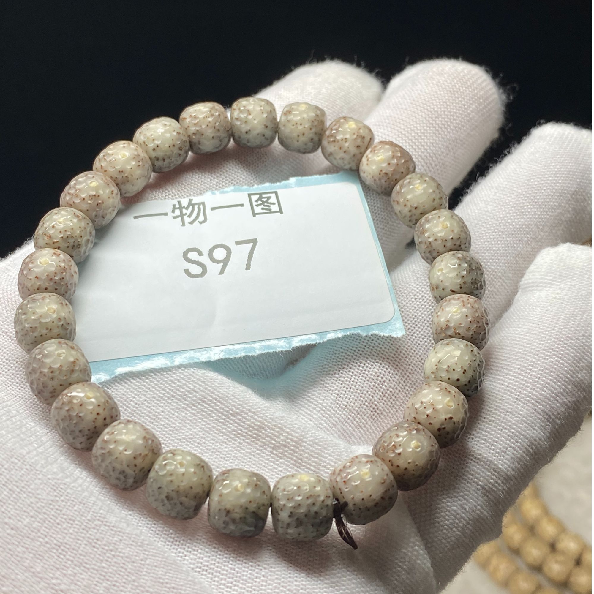 海南星月菩提石玉同枝果无烟超细星点手工雕刻8X9龙鳞S97