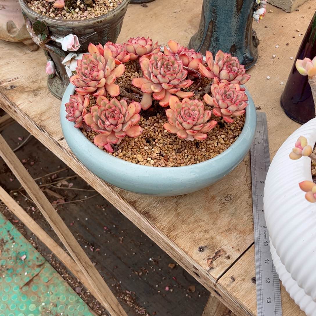 你是否还．．．你自己想清楚