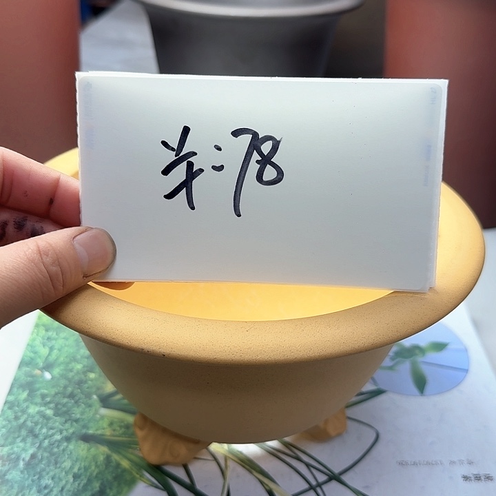 紫砂222222222222222233