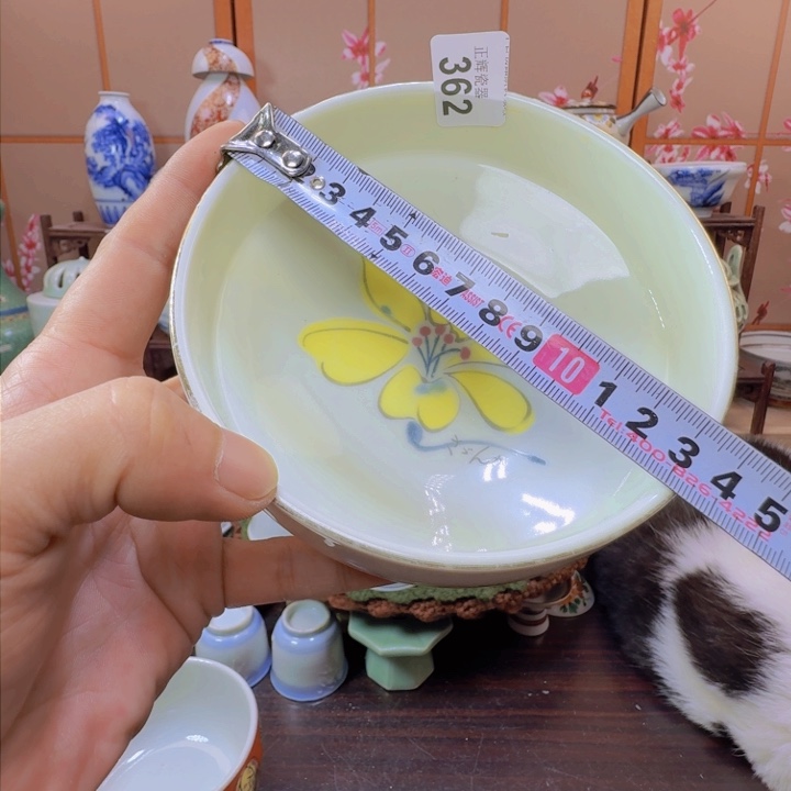 碗362啊啊啊啊啊啊啊啊啊啊啊啊