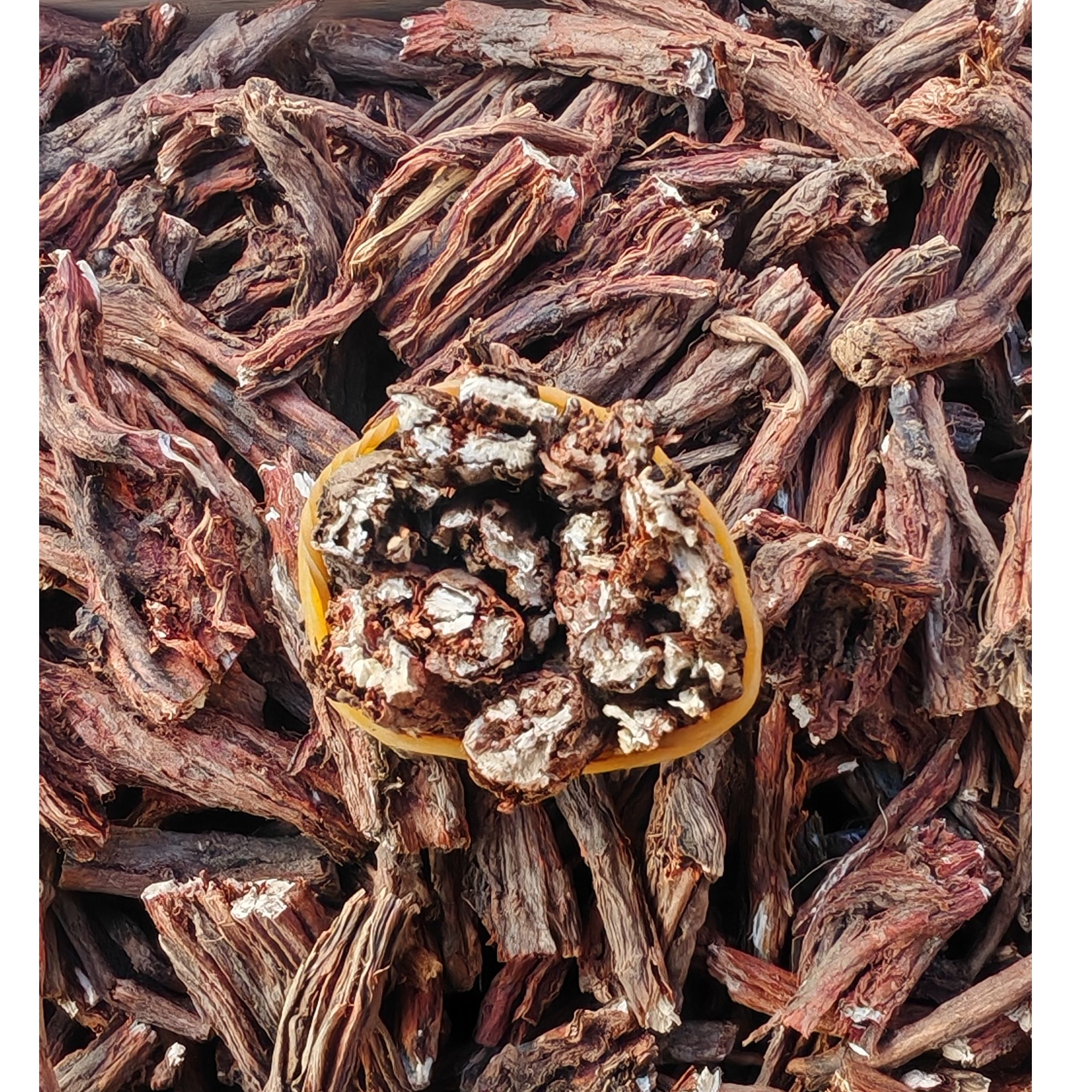 【岷县老丹参】高海拔老丹参 多年生 干货