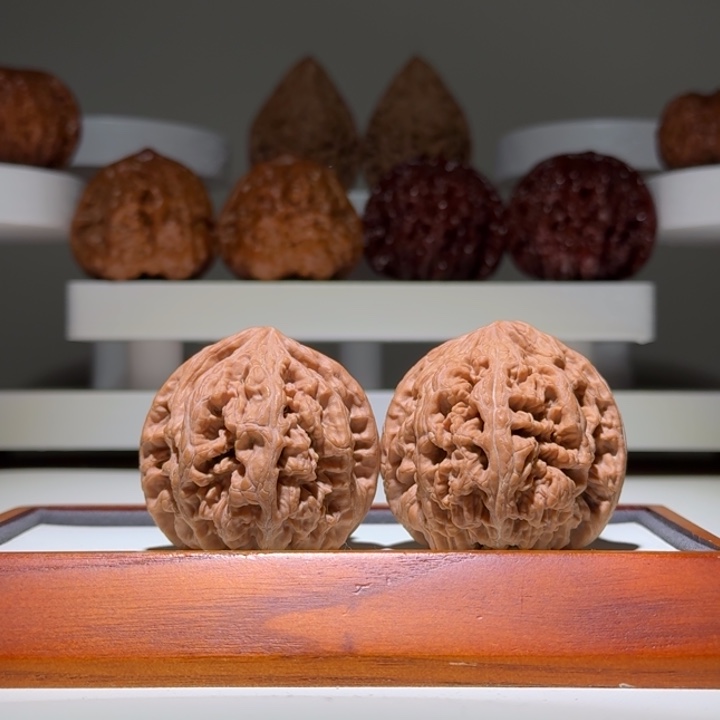 43.5全品大粗筋饱满精品