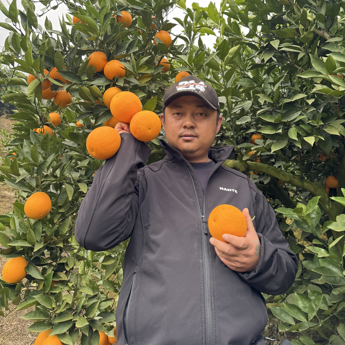 【花斑果罗生】云南哀牢山冰糖橙花斑果现摘现发70-98mm配开果器