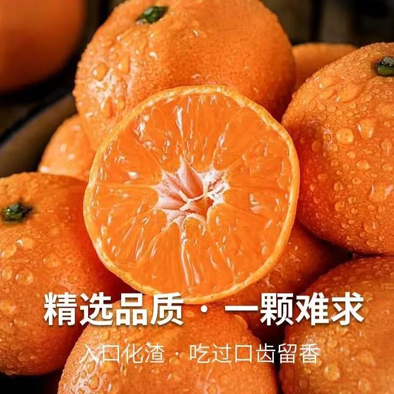 正宗沙糖桔11.5-12斤左右/框内蒙古自治区