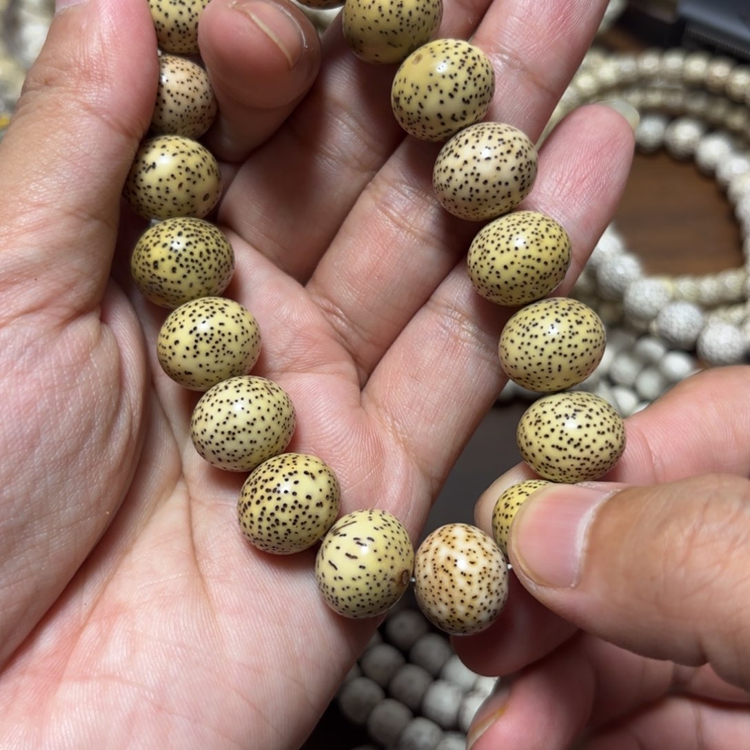 陆***海星月菩提手串星月原生态15*13