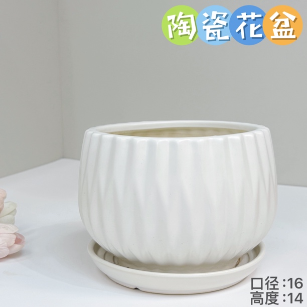 多肉花盆陶瓷花盆简约室内桌面摆设家用肉肉植物创意多肉盆蝴蝶兰