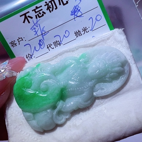菲***菲翡翠未镶嵌颈饰缅甸