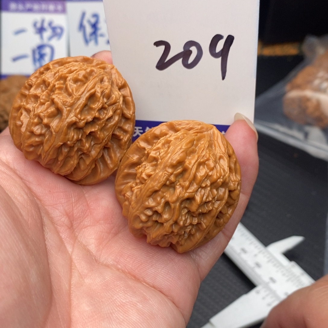 把件桃核白狮子37nomnom