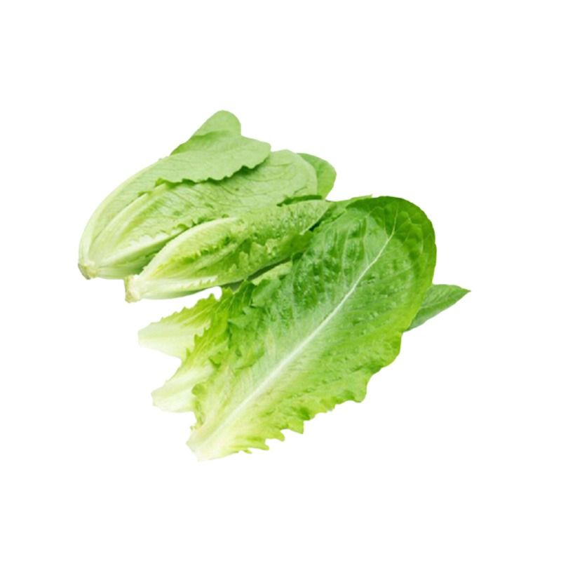 ZHAOHUI/兆辉罗马生菜200g