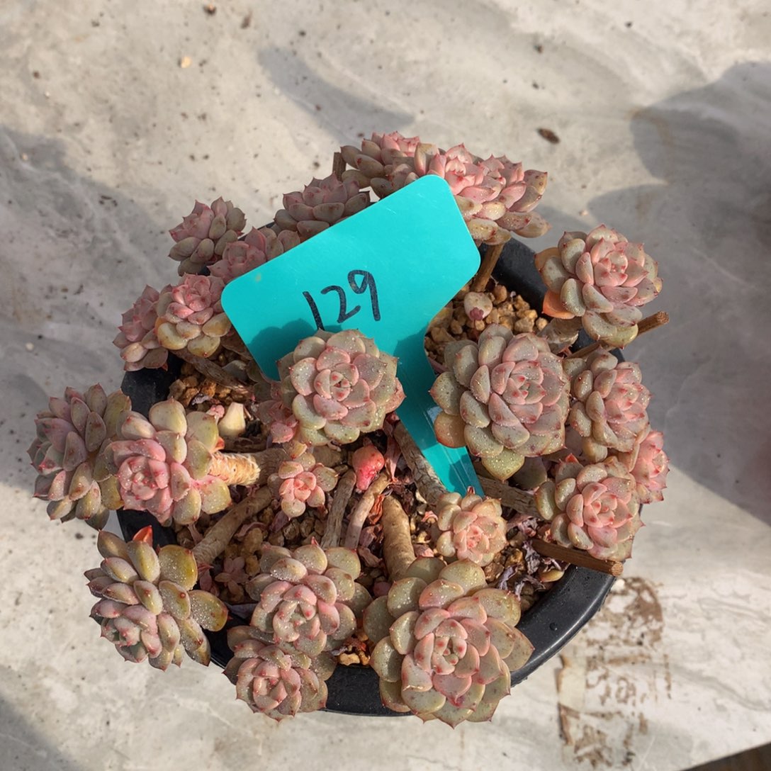 妙***言粉不哦727272727227@