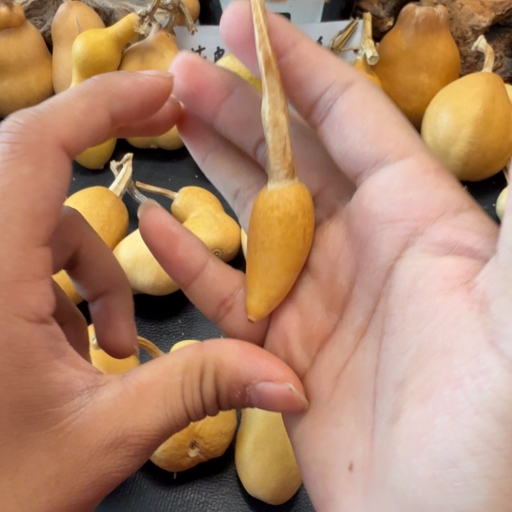 ****话888……………………………………