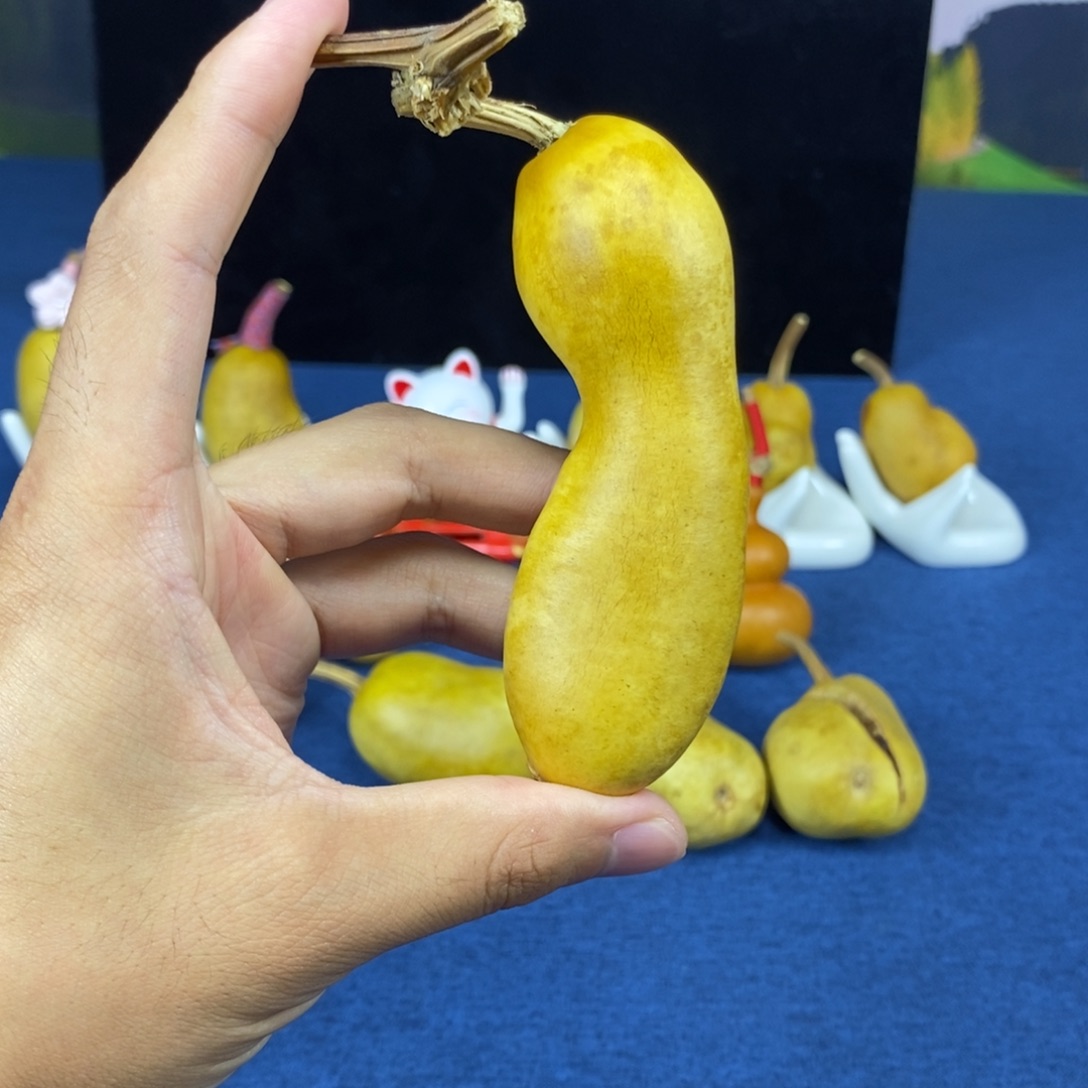 潮***店8888888888888888888