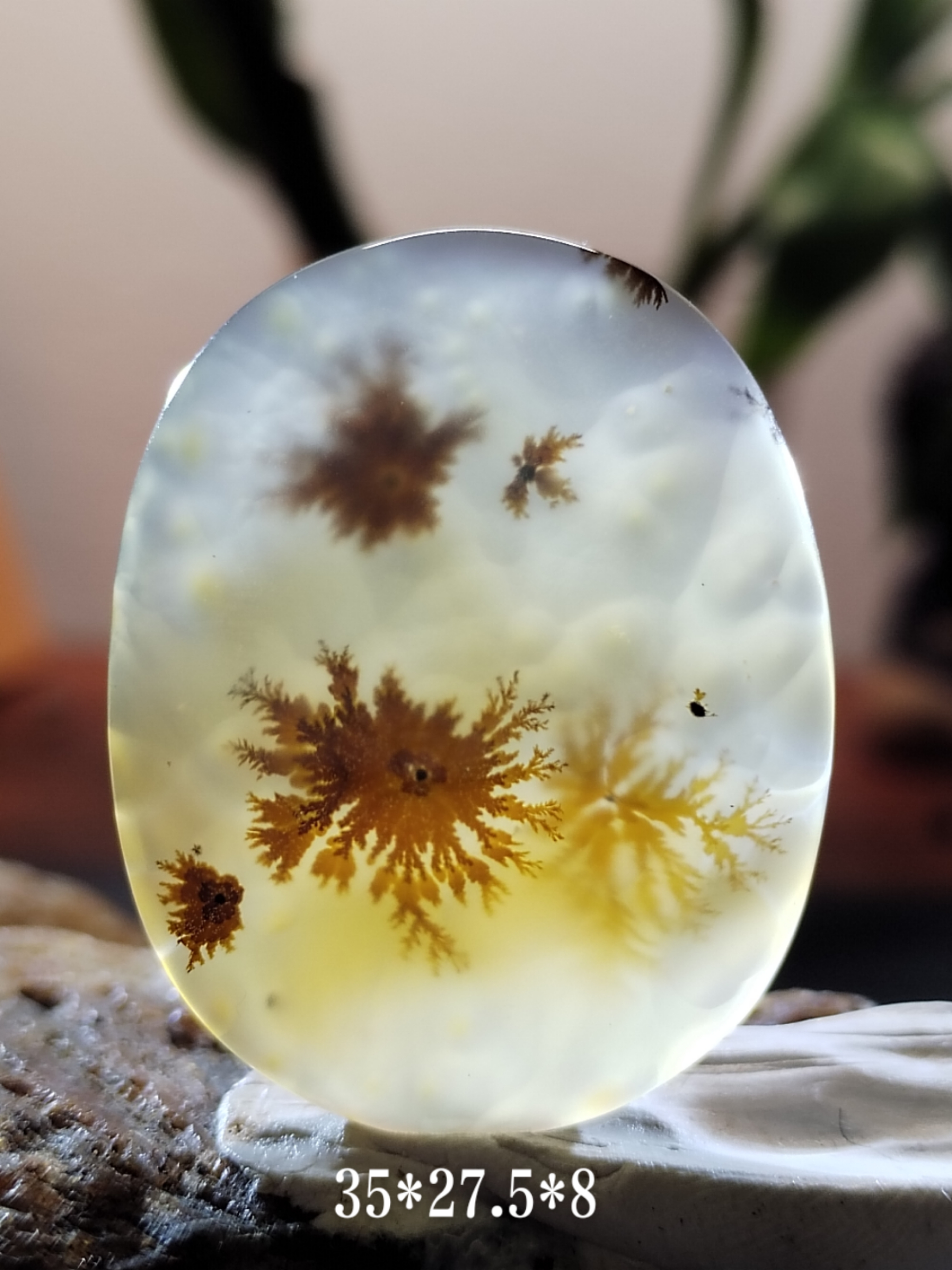 天然海洋玉髓草花像形吊坠上新货