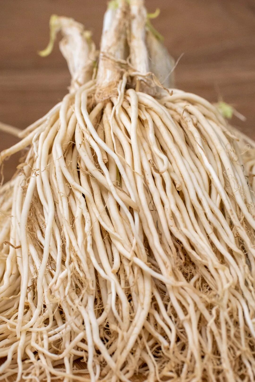 云南韭菜根 现挖韭菜根 新鲜韭菜根