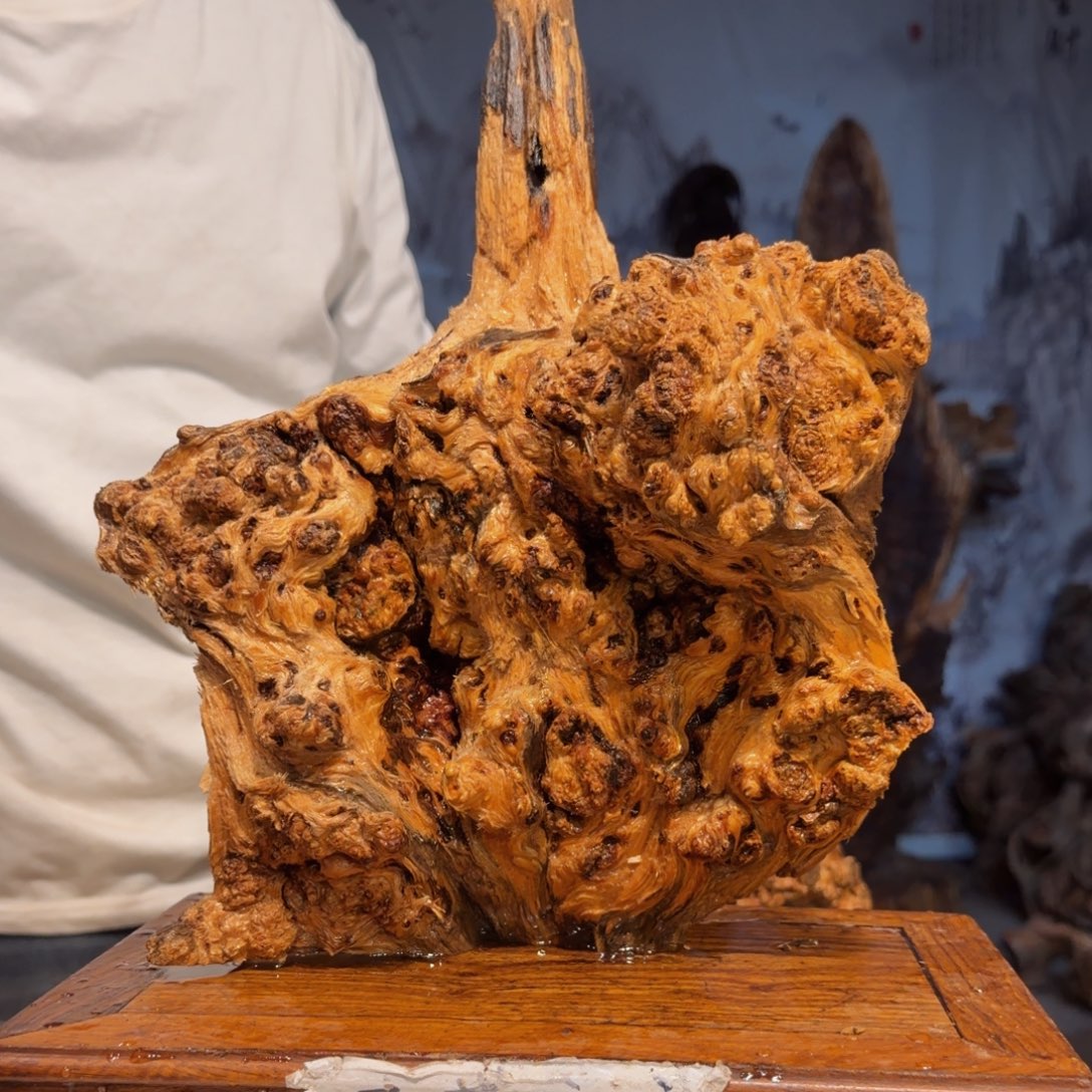 曹***建木三丰琥珀木 天然摆件43
