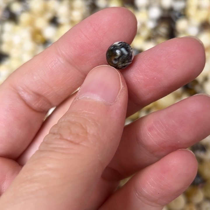 蜜蜡未镶嵌裸石7.9mm一个