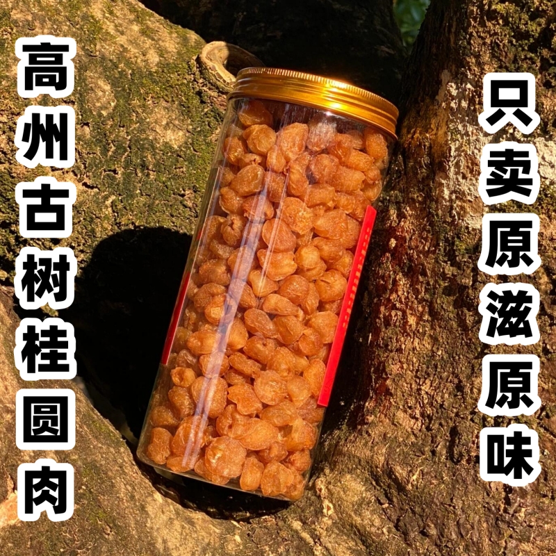 【罐装】新货高州桂圆肉无核老树龙眼肉去壳肉厚香甜桂圆肉干无硫