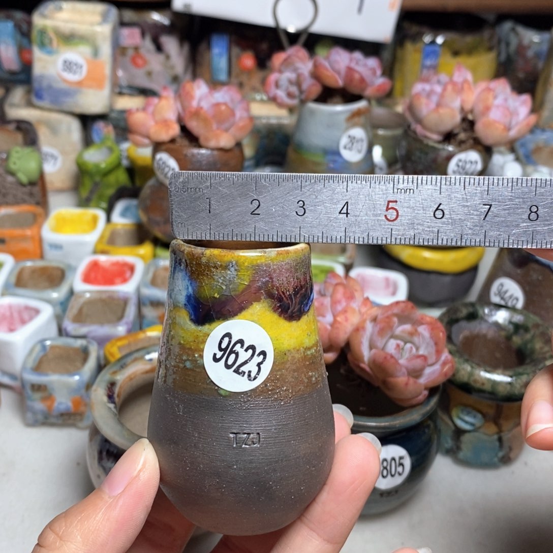 拍5送一个小礼物