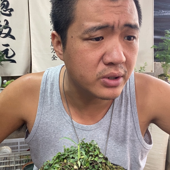 无花朵退款拉黑拉黑31