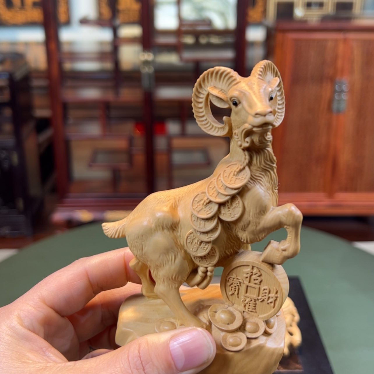 【闪购商品】黄杨木其他黄杨木