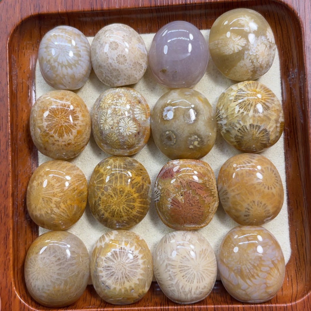 硅化玉未镶嵌颈饰富甲20米1个