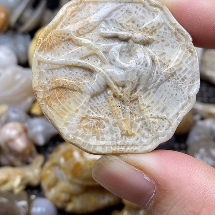 硅化珊瑚（珊瑚玉）未镶嵌颈饰