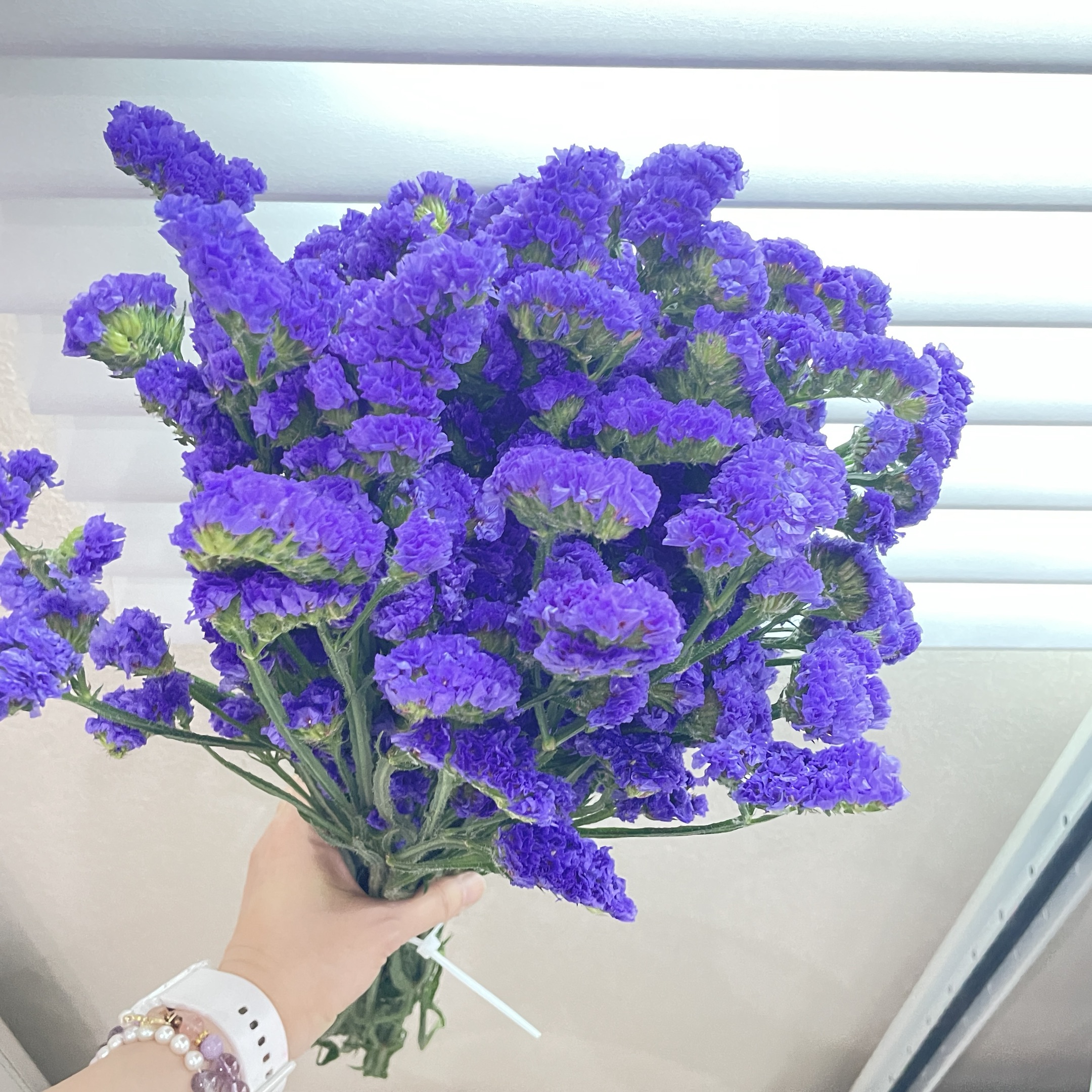 【深紫色勿忘我】一扎干花花束