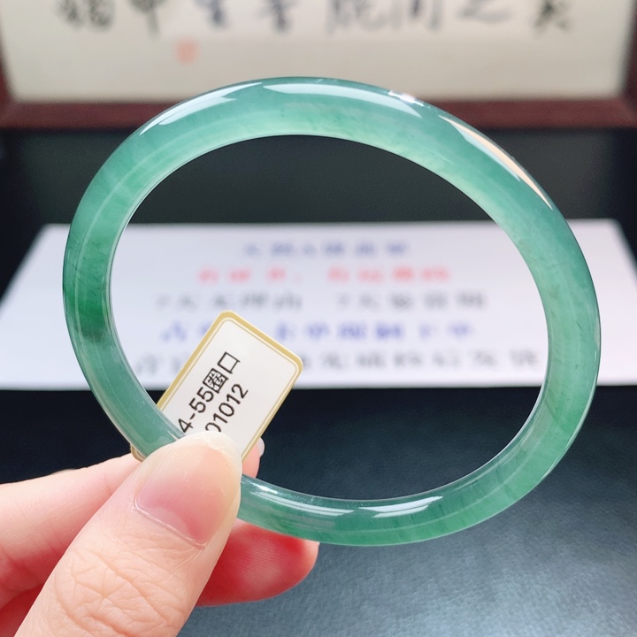 翡翠未镶嵌手镯翡翠手镯黑色8