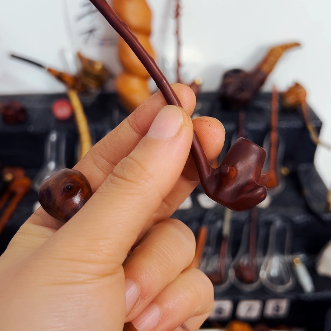 维***香榧木不过我们在学校里面