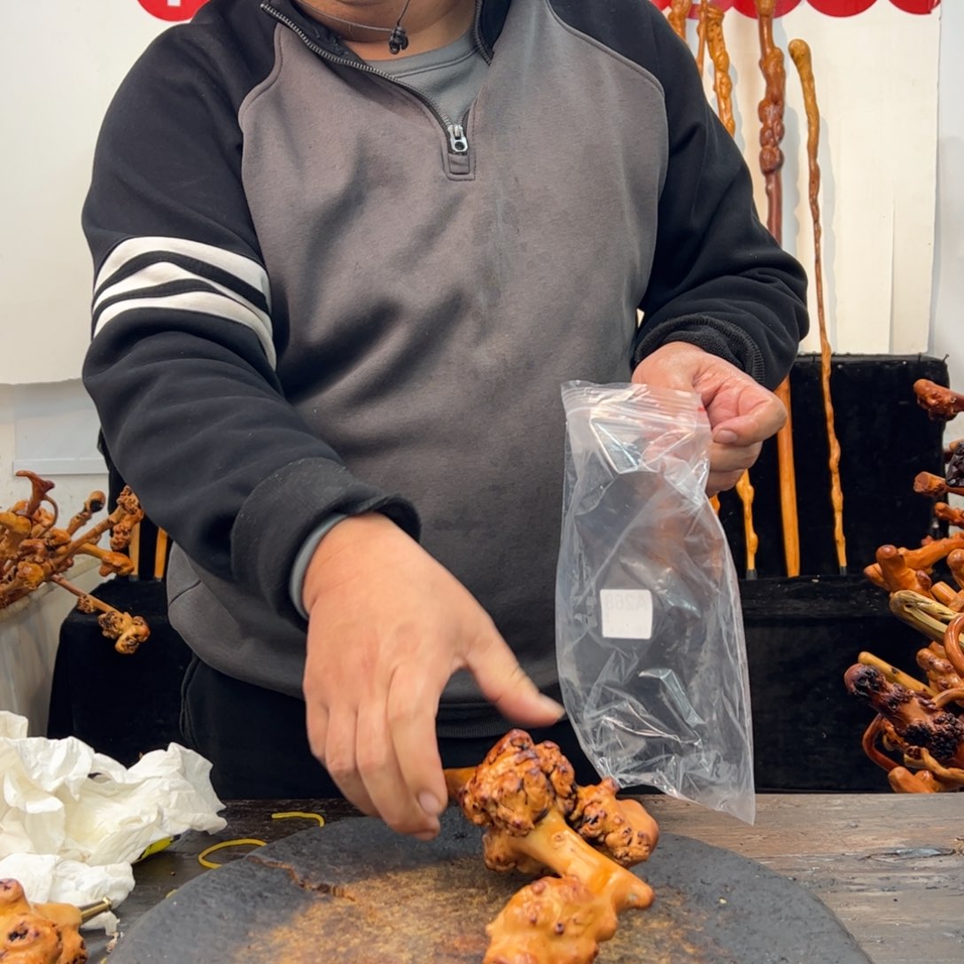 黑果木其他黑果木500