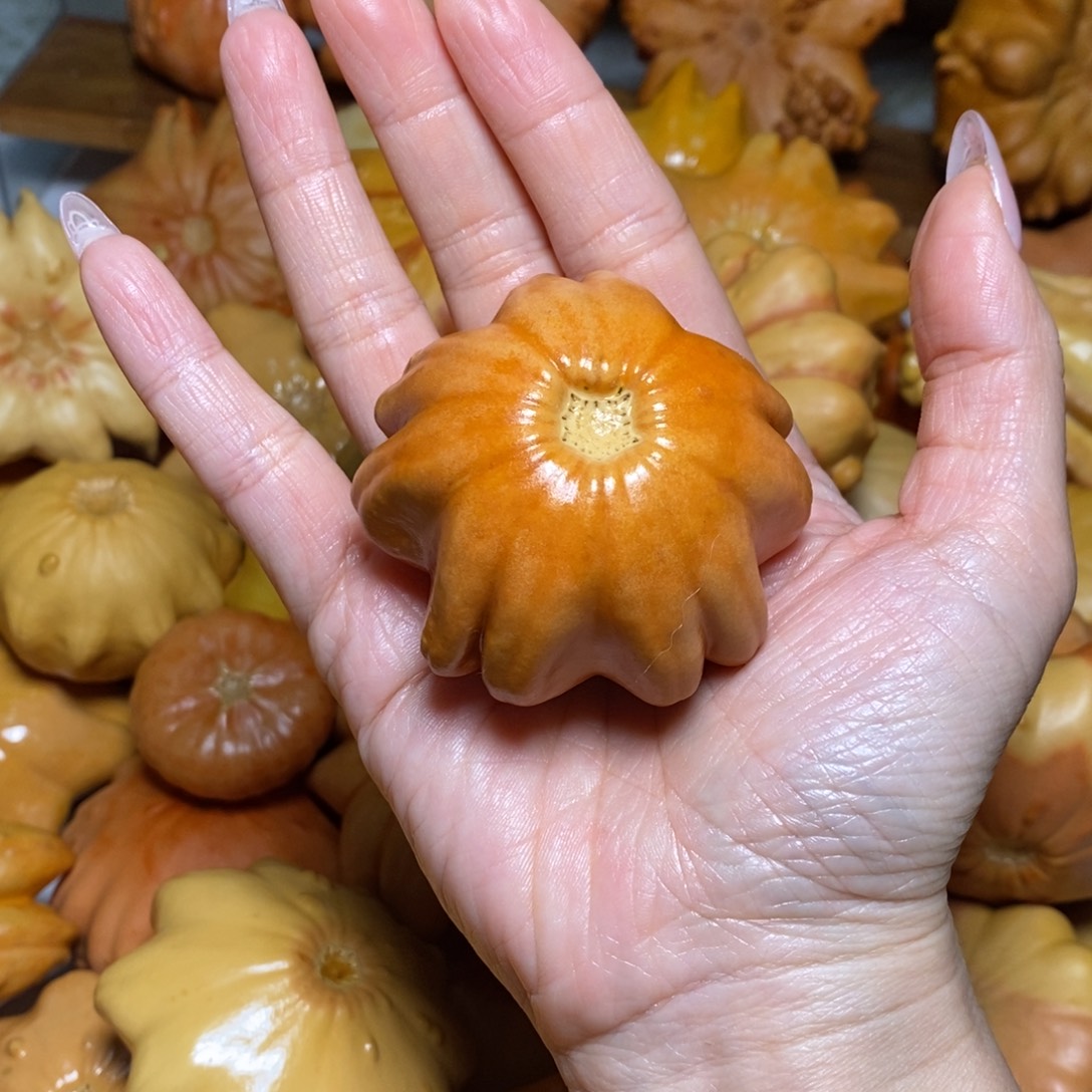 ****多棱花花放漏不退不换