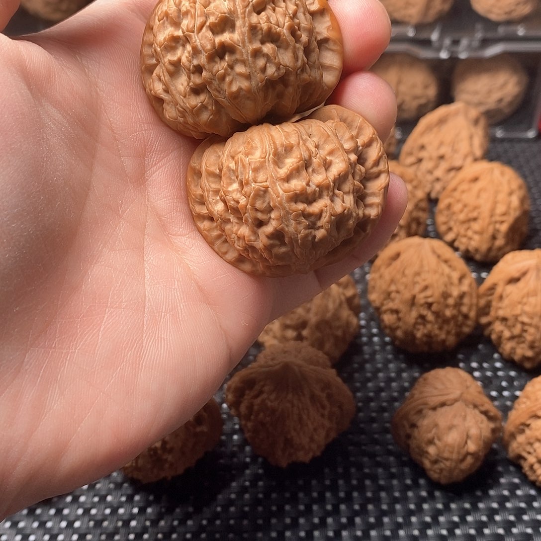 核桃手串/手链白狮子尺寸44