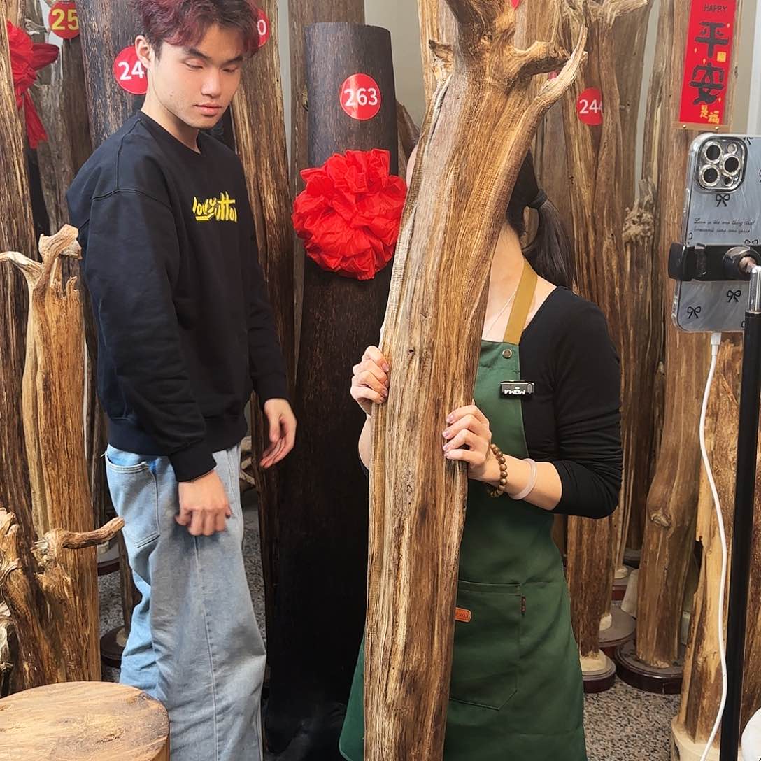 沉香木摆件天然沉香原木摆件➕底座