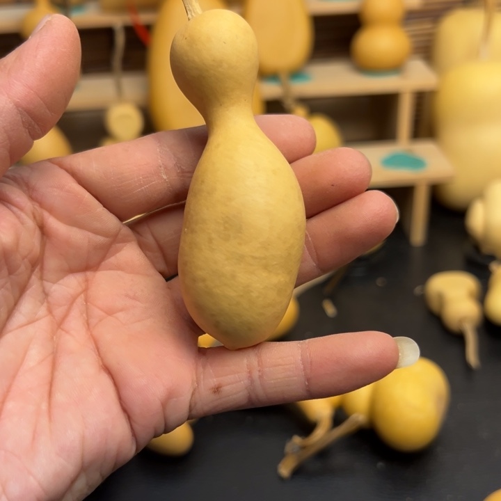 L****强葫芦葫芦葫芦葫芦葫芦葫芦