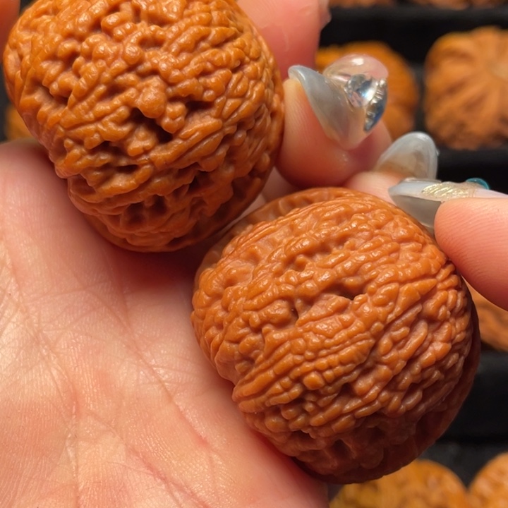 文玩核桃把件秦岭山脉核桃